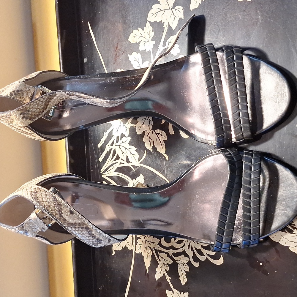 Coach Pyton Print Shoes